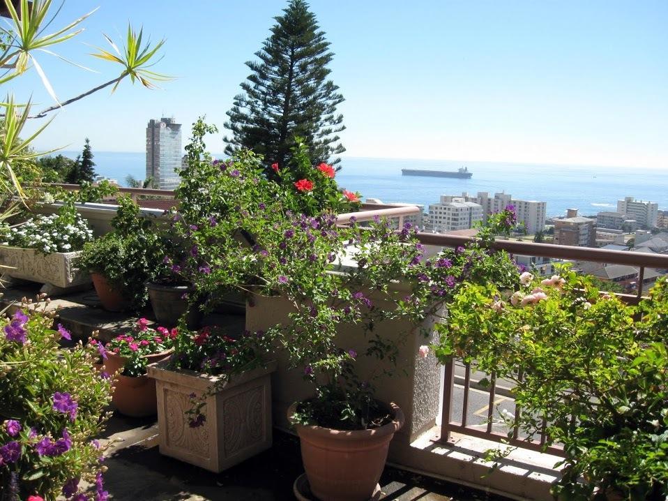 123 Ocean View Drive Apartment Le Cap Extérieur photo