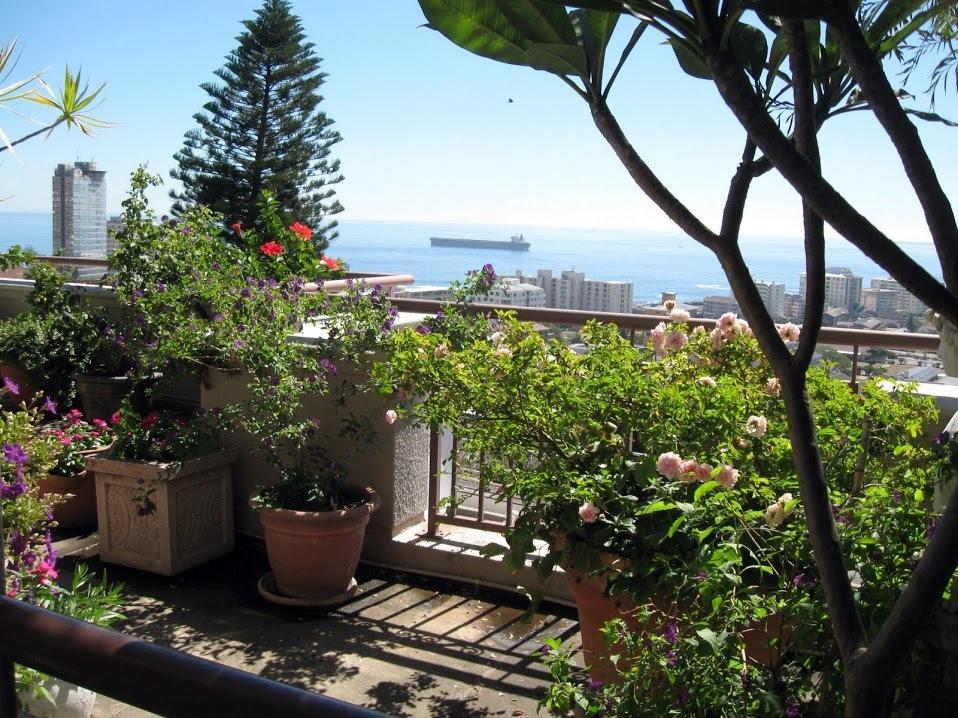 123 Ocean View Drive Apartment Le Cap Extérieur photo